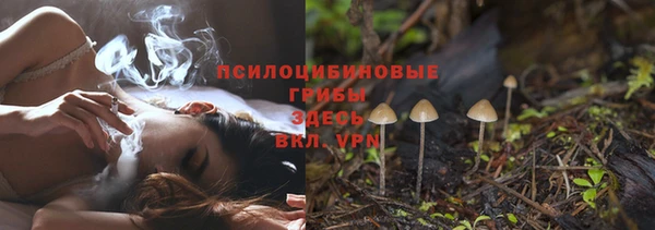 прущая мука Алзамай