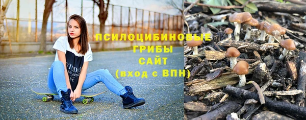 гидра Алексин