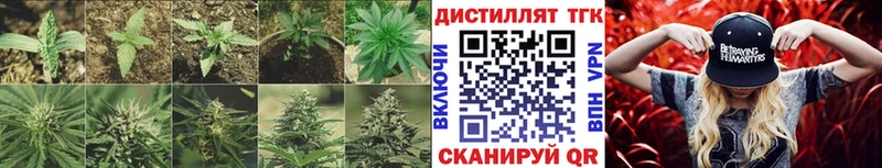 ТГК гашишное масло  наркотики  Курлово 